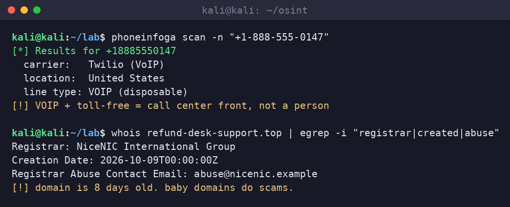 Kali terminal running phone OSINT on a scam toll-free number and whois on the scam domain.