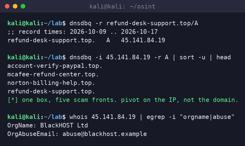 Kali terminal using passive DNS to resolve the domain to an IP and reverse-pivot the IP to five other scam domains, with whois showing the hosting abuse contact.