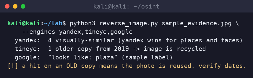 Kali terminal running a reverse image search helper across Yandex, TinEye and Google that flags an older 2019 copy of the image.