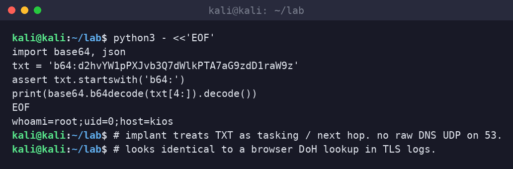 Kali terminal decoding the TXT answer from base64 into a whoami result string.