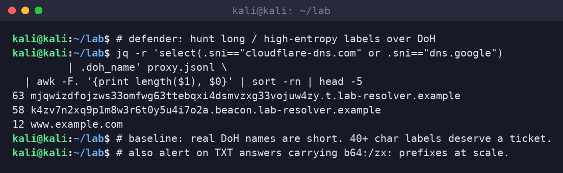 Kali terminal hunting long high-entropy DNS labels observed over DoH in a lab proxy log.