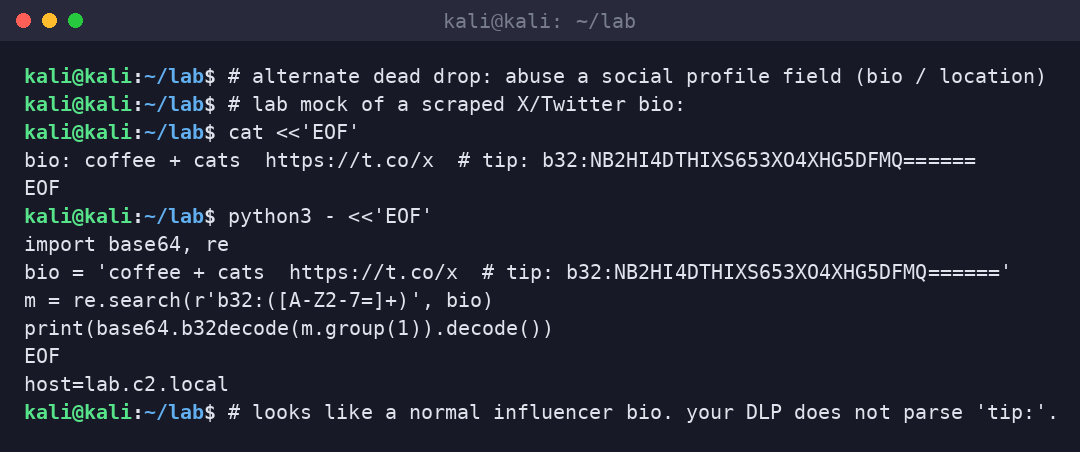 Kali terminal decoding a base32 host from a mocked social media bio field.