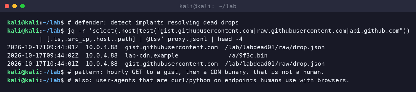 Kali terminal hunting hourly gist fetches followed by CDN binary downloads in proxy JSONL.