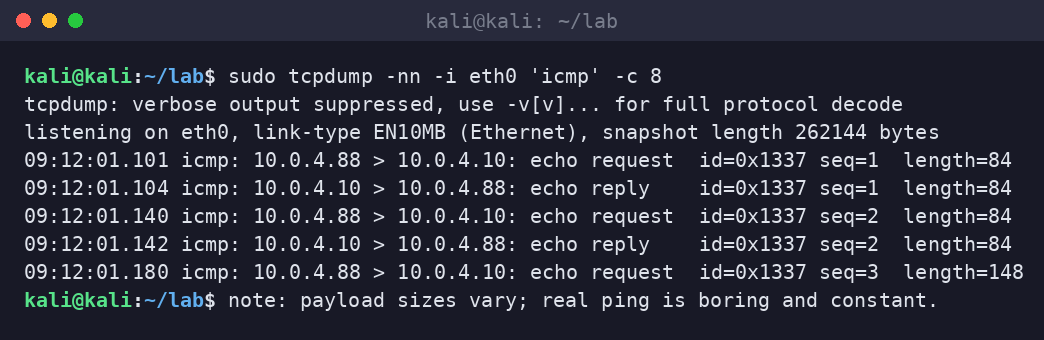 Kali terminal tcpdump showing ICMP echo request/reply pairs with varying payload lengths.