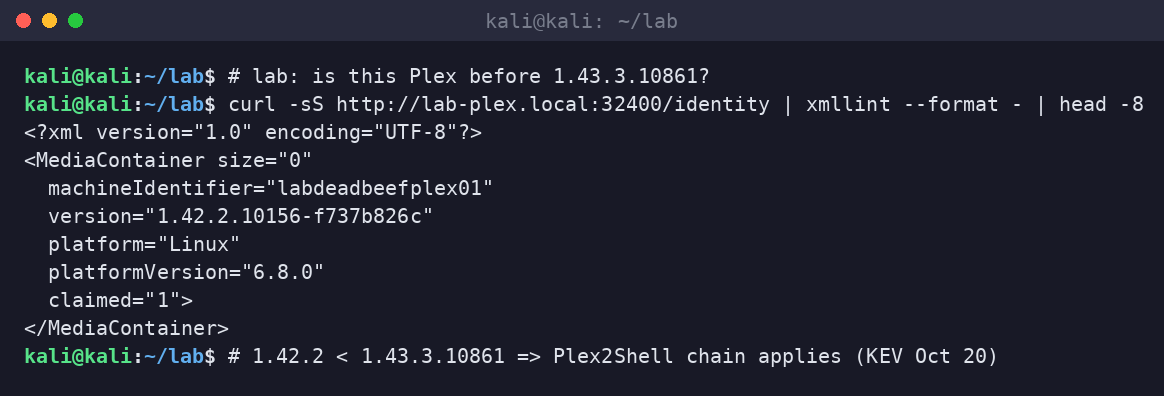 Kali terminal curling the Plex /identity endpoint on a lab server still running 1.42.2.