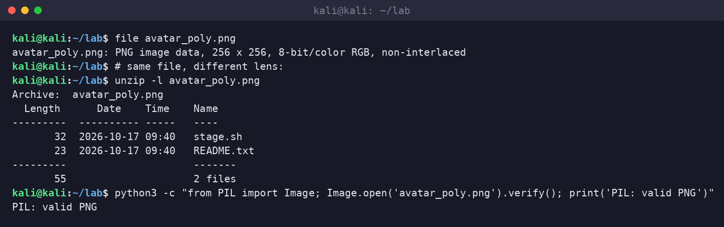 Kali terminal showing file(1) reports PNG while unzip -l lists the embedded stage.sh.