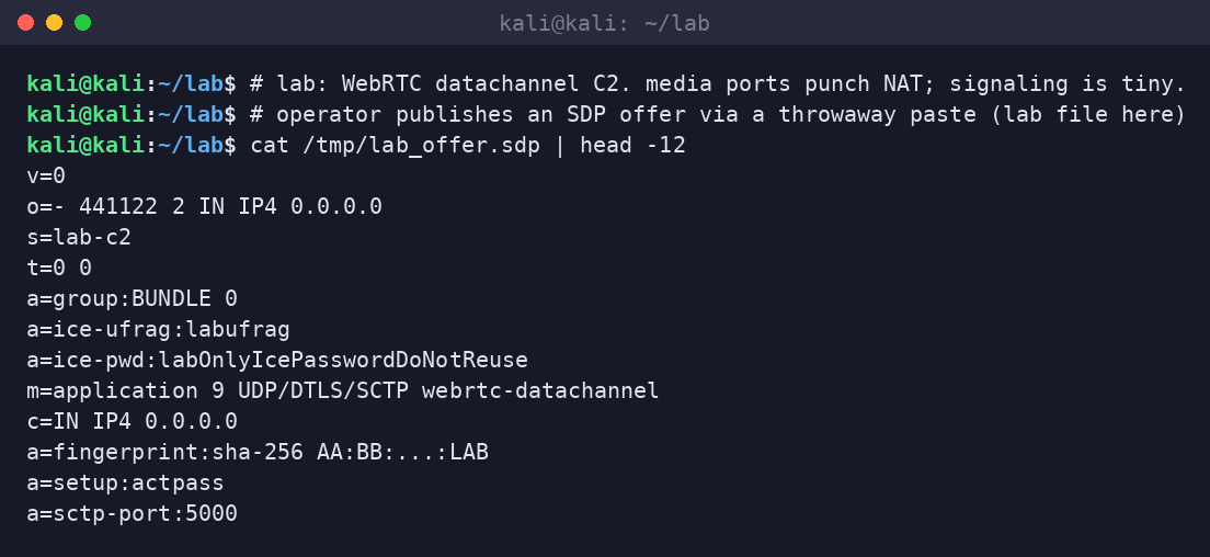 Kali terminal showing a lab SDP offer for a WebRTC application datachannel with ICE ufrag and DTLS fingerprint.