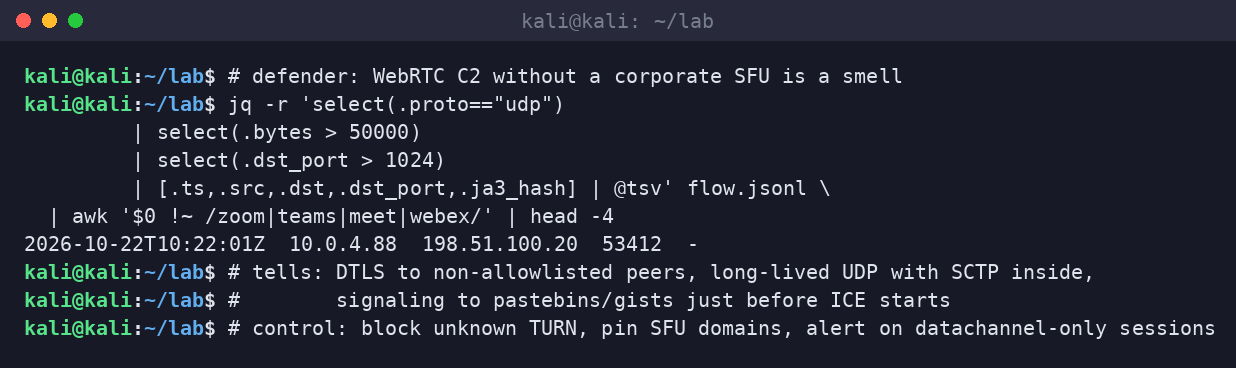 Kali terminal hunting high-byte UDP flows to non-allowlisted peers that are not Zoom, Teams, Meet, or Webex.