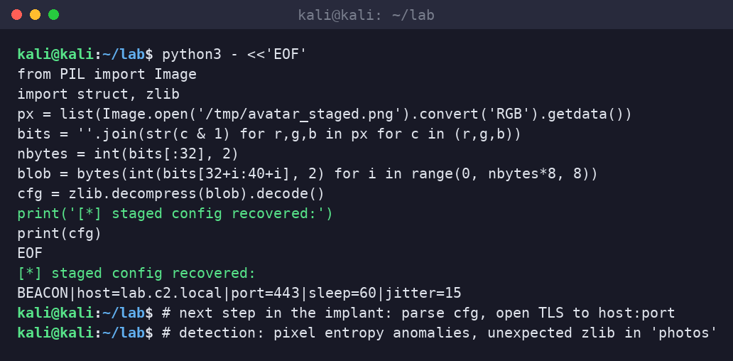 Kali terminal extracting the LSB plane, decompressing zlib, and printing the recovered beacon config.