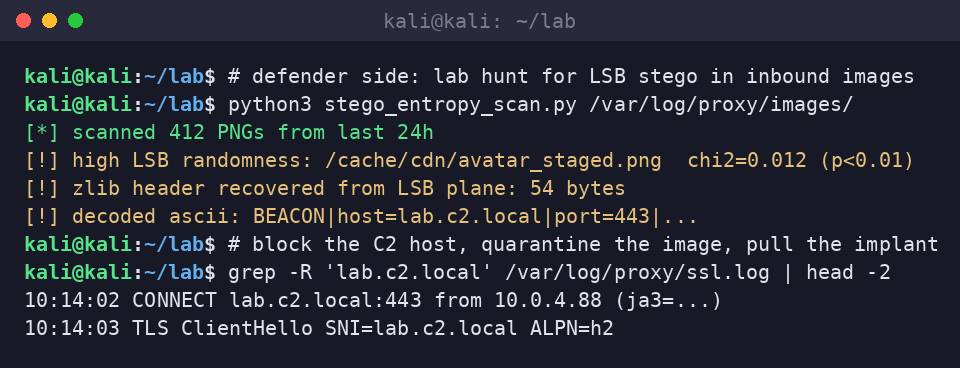 Kali terminal running a lab entropy scanner that flags the staged PNG and greps proxy SSL logs for the recovered C2 host.