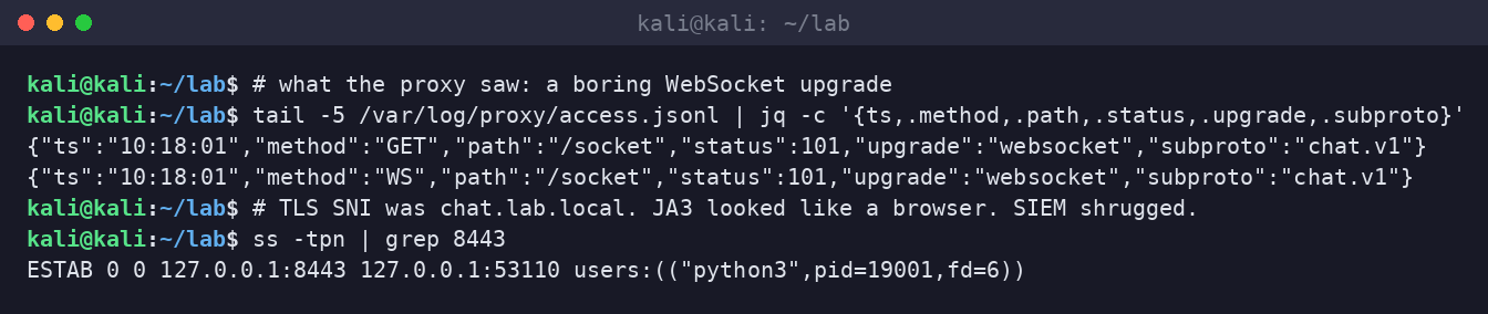 Kali terminal showing proxy JSON logs with HTTP 101 upgrade to websocket and an established session on port 8443.