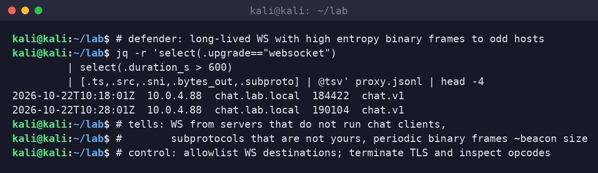 Kali terminal hunting long-lived WebSocket flows with high byte counts to a lab chat SNI.
